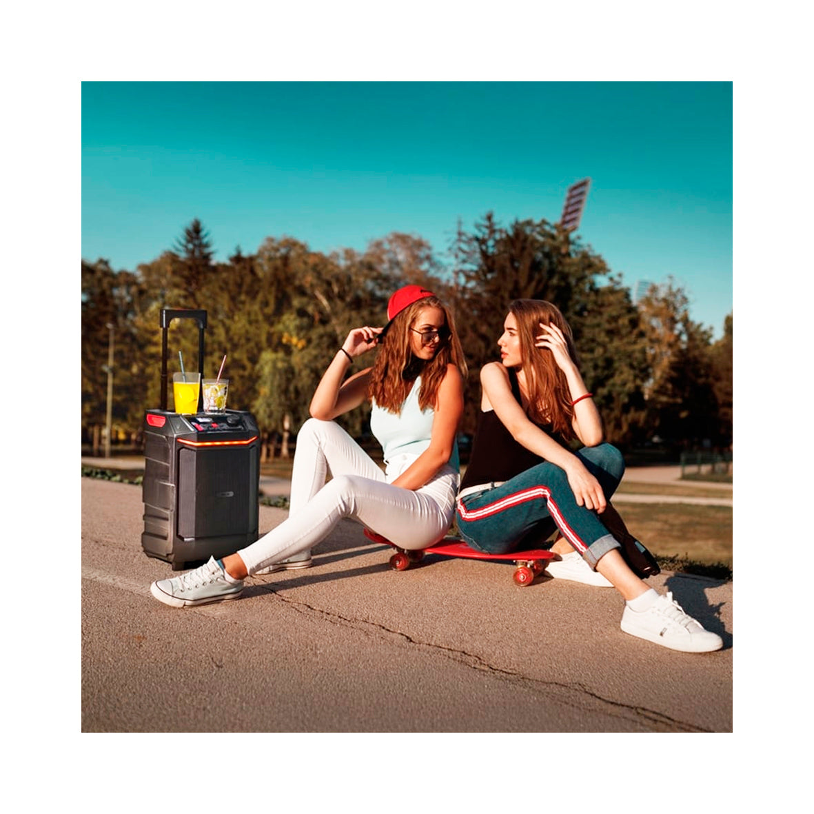 NGS Wild Bash - Bluetooth Party Speaker - Black