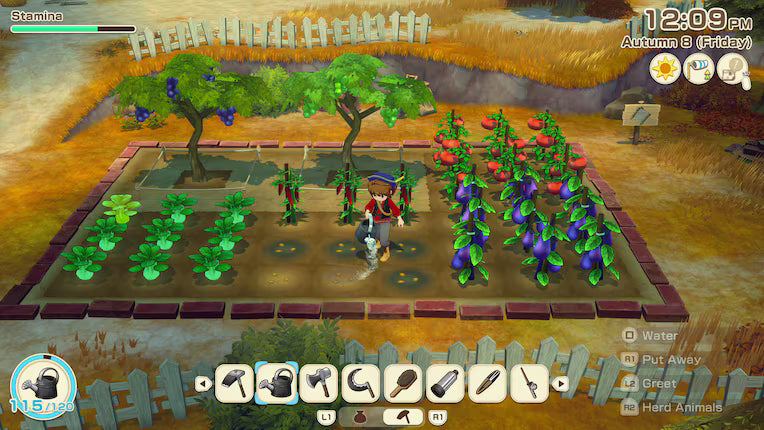 Story Of Seasons Grand Bazaar - PS5