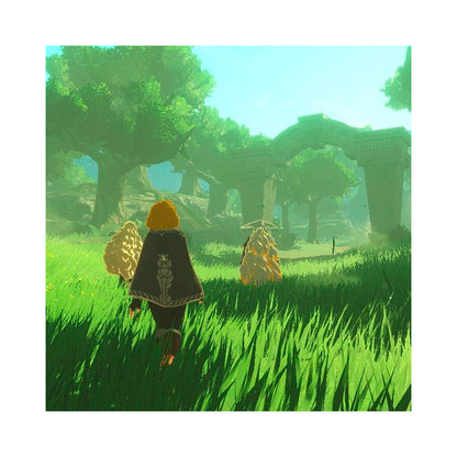 Nintendo Switch 2 - Hyrule Warriors: Age of Imprisonment