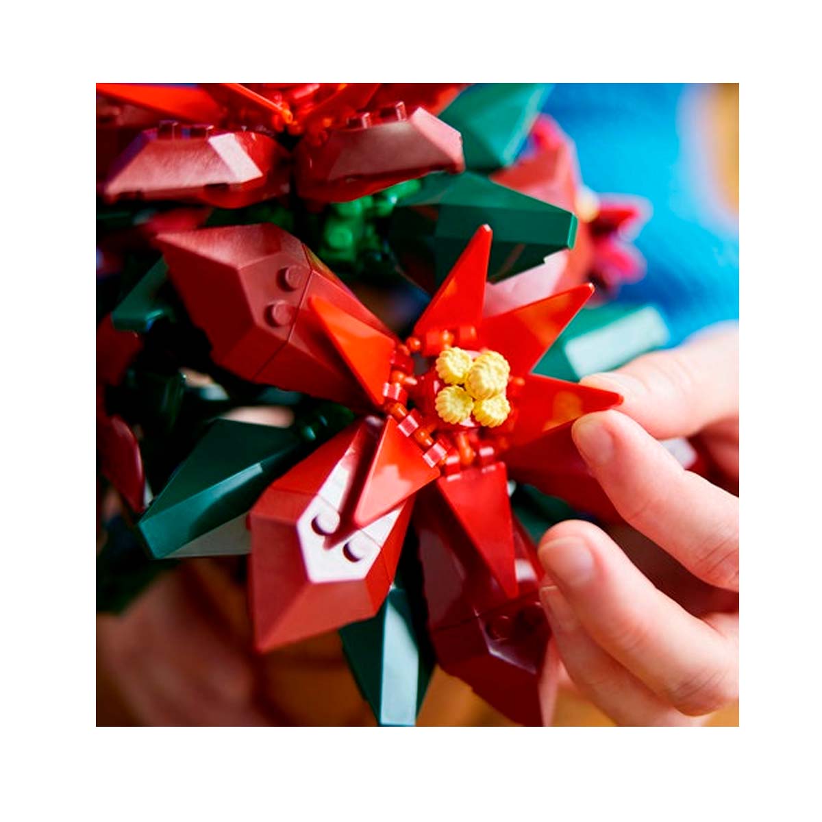 LEGO Botanicals - Poinsettia (10370)