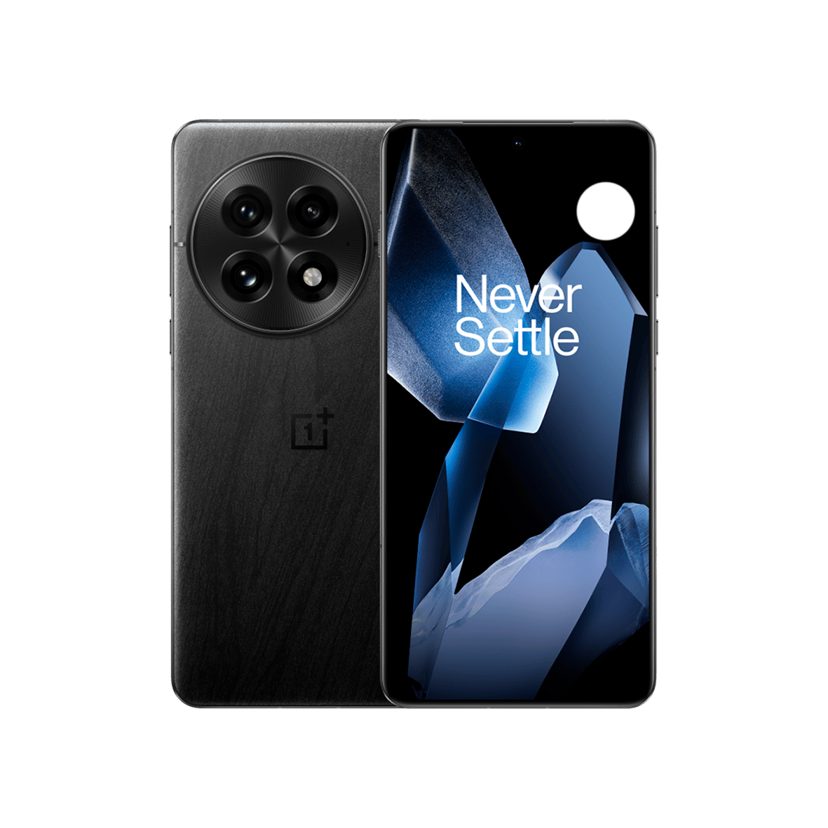 OnePlus 13