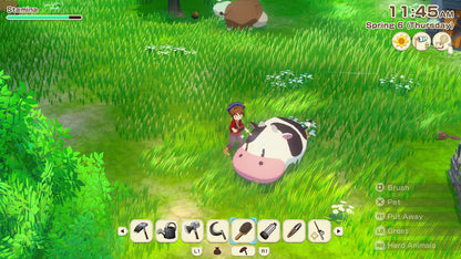 Story Of Seasons Grand Bazaar - PS5