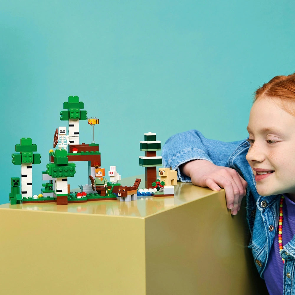 LEGO Minecraft - First Night Adventure (21593)