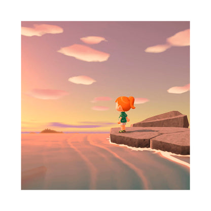 Nintendo Switch 2 - Animal Crossing - New Horizons