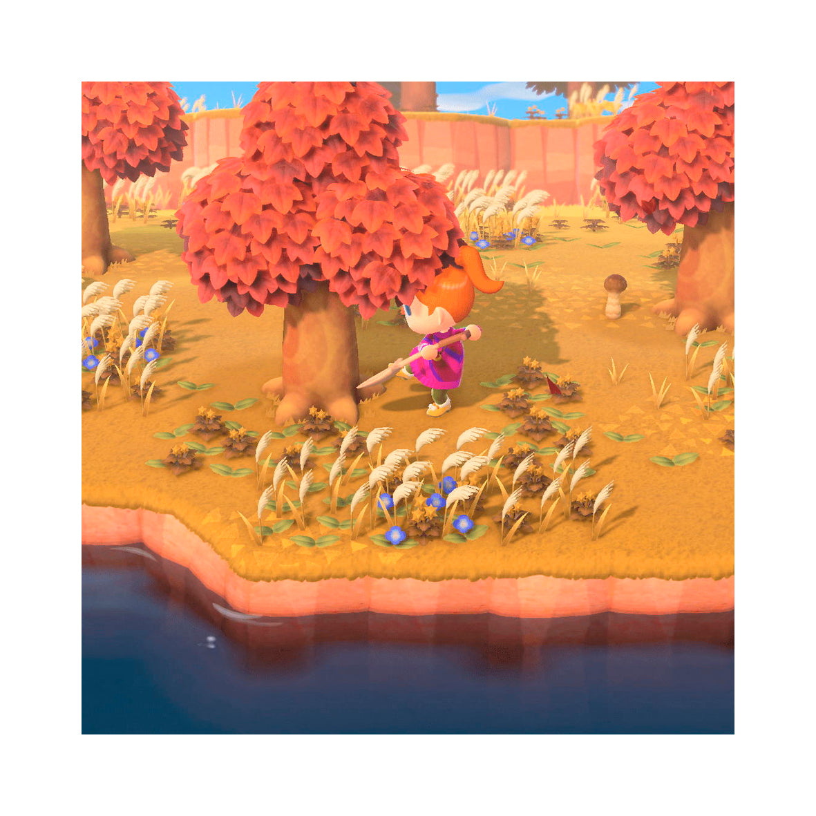 Nintendo Switch 2 - Animal Crossing - New Horizons