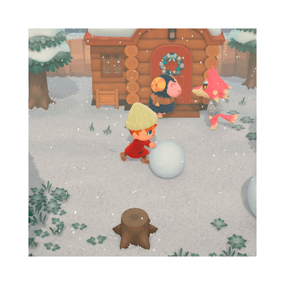 Nintendo Switch 2 - Animal Crossing - New Horizons
