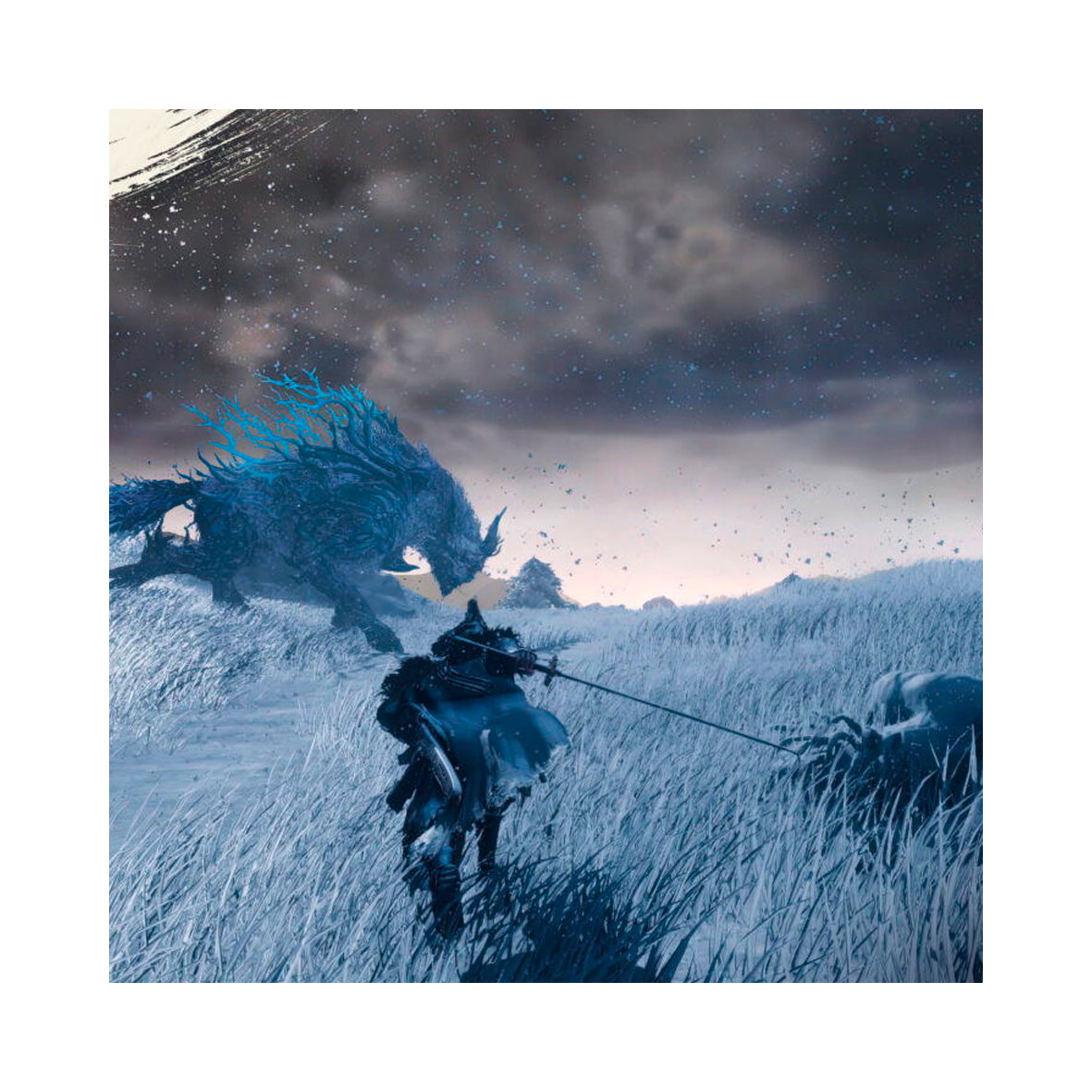 Nintendo Switch 2 - Wild Hearts S