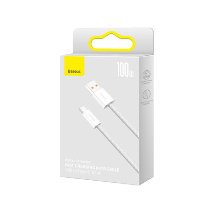 Baseus - USB - USB Typ C 100W 2m
