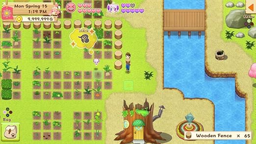 Harvest Moon: Light of Hope Special Edition - PS4