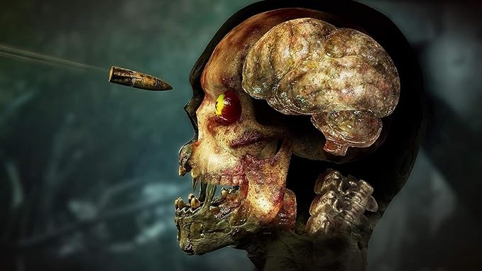 Zombie Army 4: Dead War - PS4