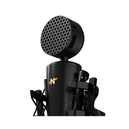 Neat - King Bee II Microp. Cardioid Cond. XLR mic recording + shock mount B - Black