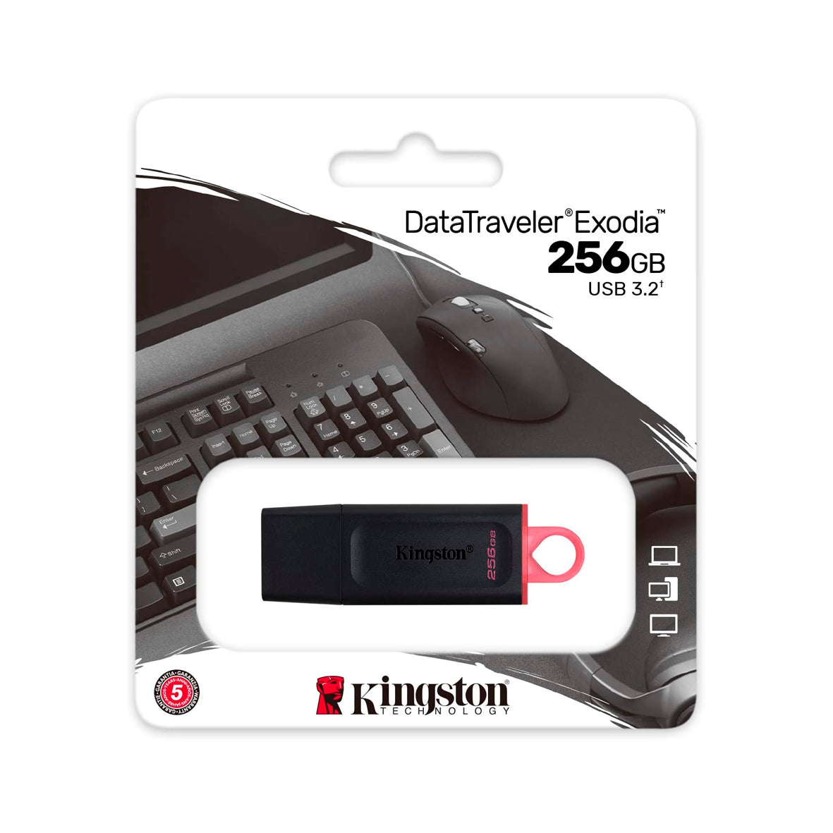 Kingston - DataTraveler Exodia 256GB USB 3.2