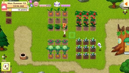 Harvest Moon: Light of Hope Special Edition - PS4