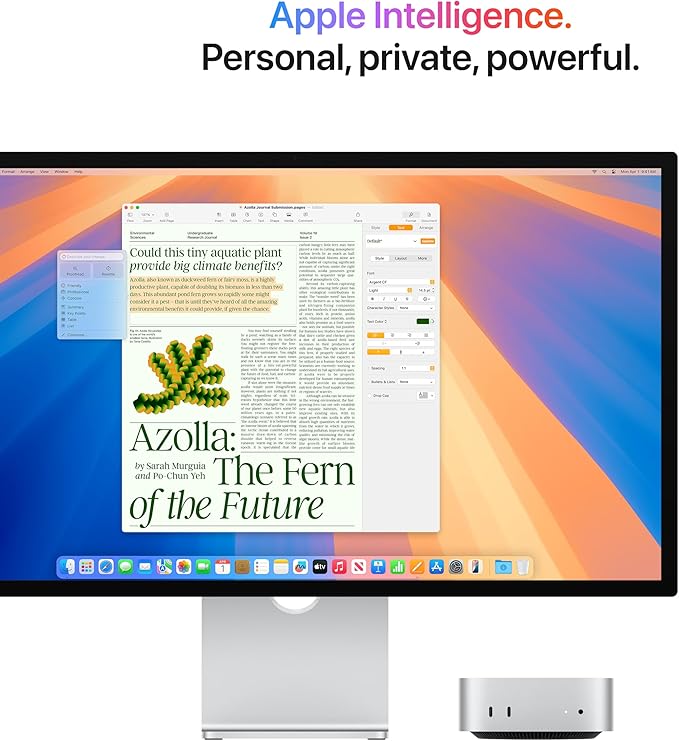 Mac Mini - M4 - 24GB RAM - (2024)