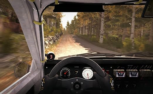 DiRT Rally - PS4
