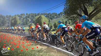 Tour De France: Season 2019 - PS4