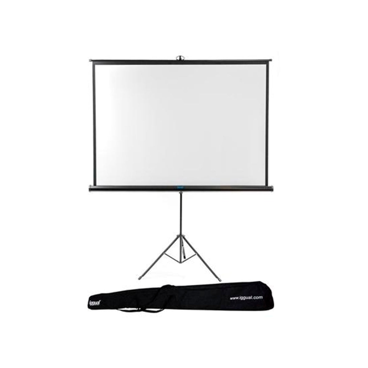Manual Wall Screen With Tripod 2x2 Meter
