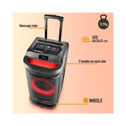 NGS - 9002 Speaker Suwoofer 10"