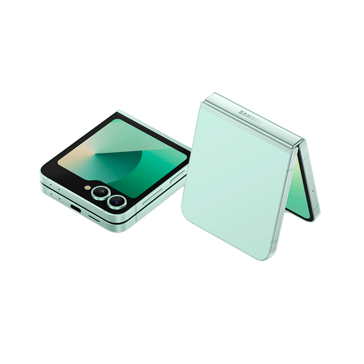 Samsung Galaxy Z Flip 6
