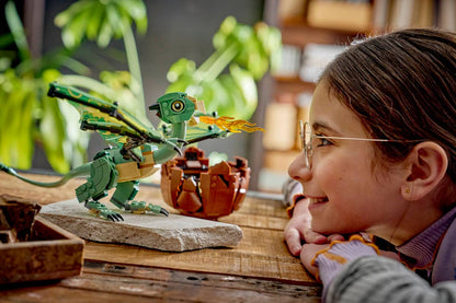 LEGO Harry Potter - Norbert Hagrid´s Baby Dragon (76477)